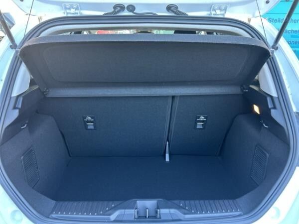 Ford Fiesta ActiveX 1.0 EcoBoost Mild-Hybrid 125PS Auto.LED Apple