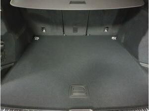 Audi SQ5 SUV TFSI S tronic*360°-Kamera*MMI*ALU*LED Audi SQ5 SUV TFSI S tronic*360°-Kamera*MMI*ALU*LED