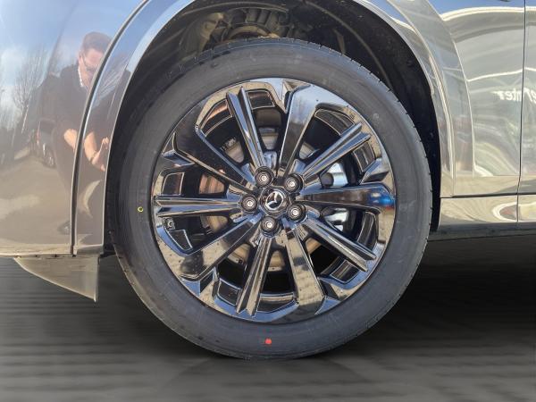 Mazda CX-60 E-SKYACTIV-D 8AT AWD HOMURA LED/HUD/LHZ&SHZ | Privat
