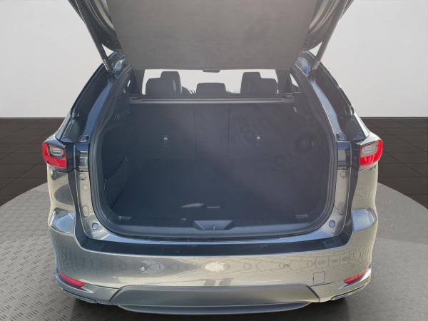 Mazda CX-60 E-SKYACTIV-D 8AT AWD HOMURA LED/HUD/LHZ&SHZ | Privat