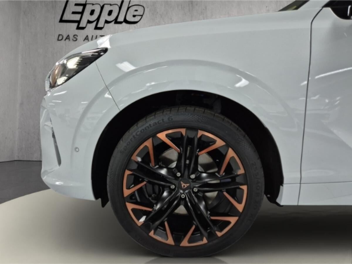 Cupra Terramar VZ 2.0 TSI 195 kW (265 PS) 7-Gang DSG 4Drive AHK Matrix Panoramadach