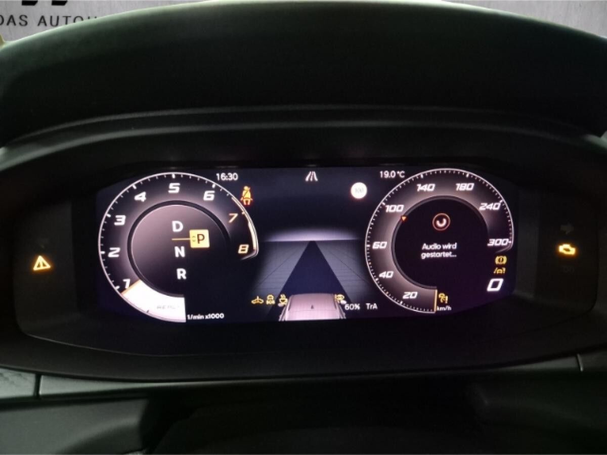 Cupra Terramar VZ 2.0 TSI 195 kW (265 PS) 7-Gang DSG 4Drive AHK Matrix Panoramadach