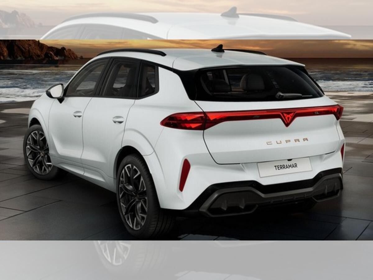 Cupra Terramar VZ 2.0 TSI DSG 4Drive Digital Drive Paket Pano