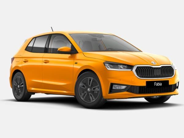 Skoda Fabia Tour 1,0 TSI 85 kW 7-Gang-DSG *130 Jahre Skoda*