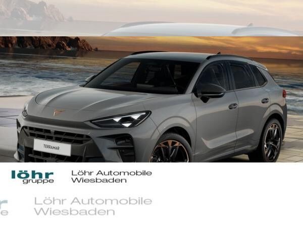 Cupra Terramar VZ 2.0 TSI DSG 4Drive Digital Drive Paket Pano