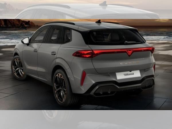 Cupra Terramar VZ 2.0 TSI DSG 4Drive Digital Drive Paket Pano