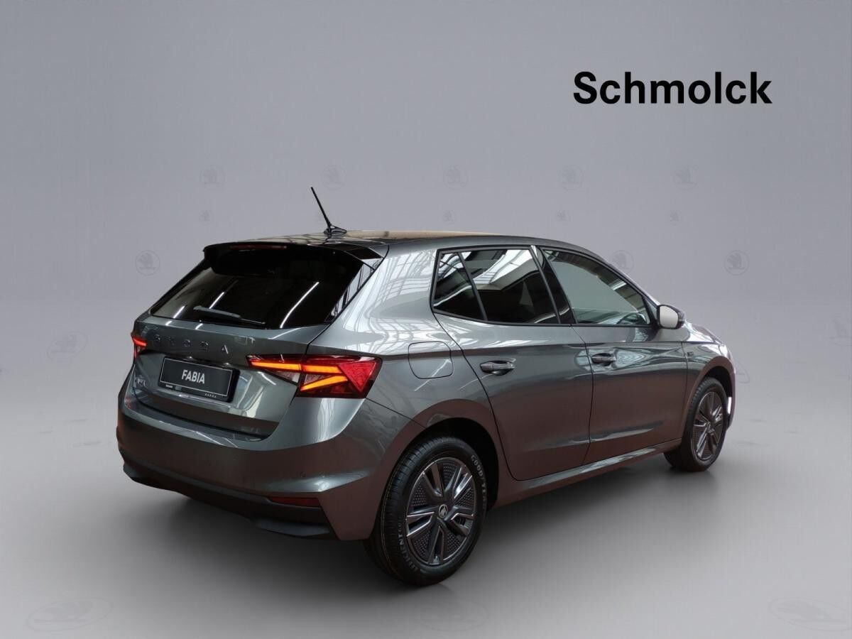 Skoda Fabia Tour 1.0 MPI RFK DAB LED PDC