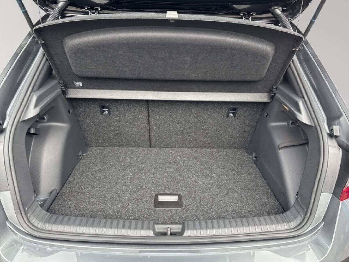 Skoda Fabia Monte Carlo 1.5 TSI, Frontkamera, Winter-Paket Plus