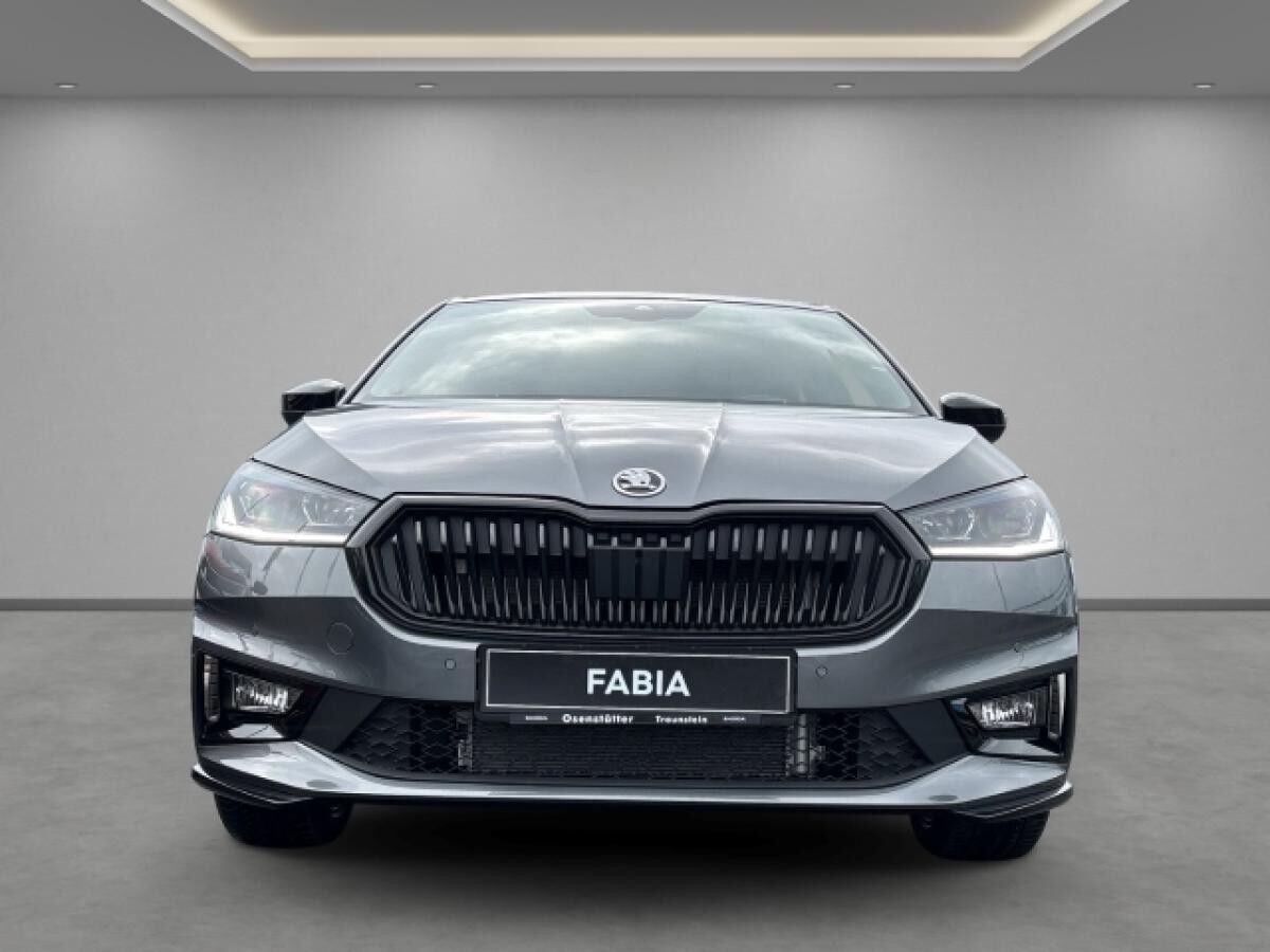 Skoda Fabia Monte Carlo 1.5 TSI, Frontkamera, Winter-Paket Plus