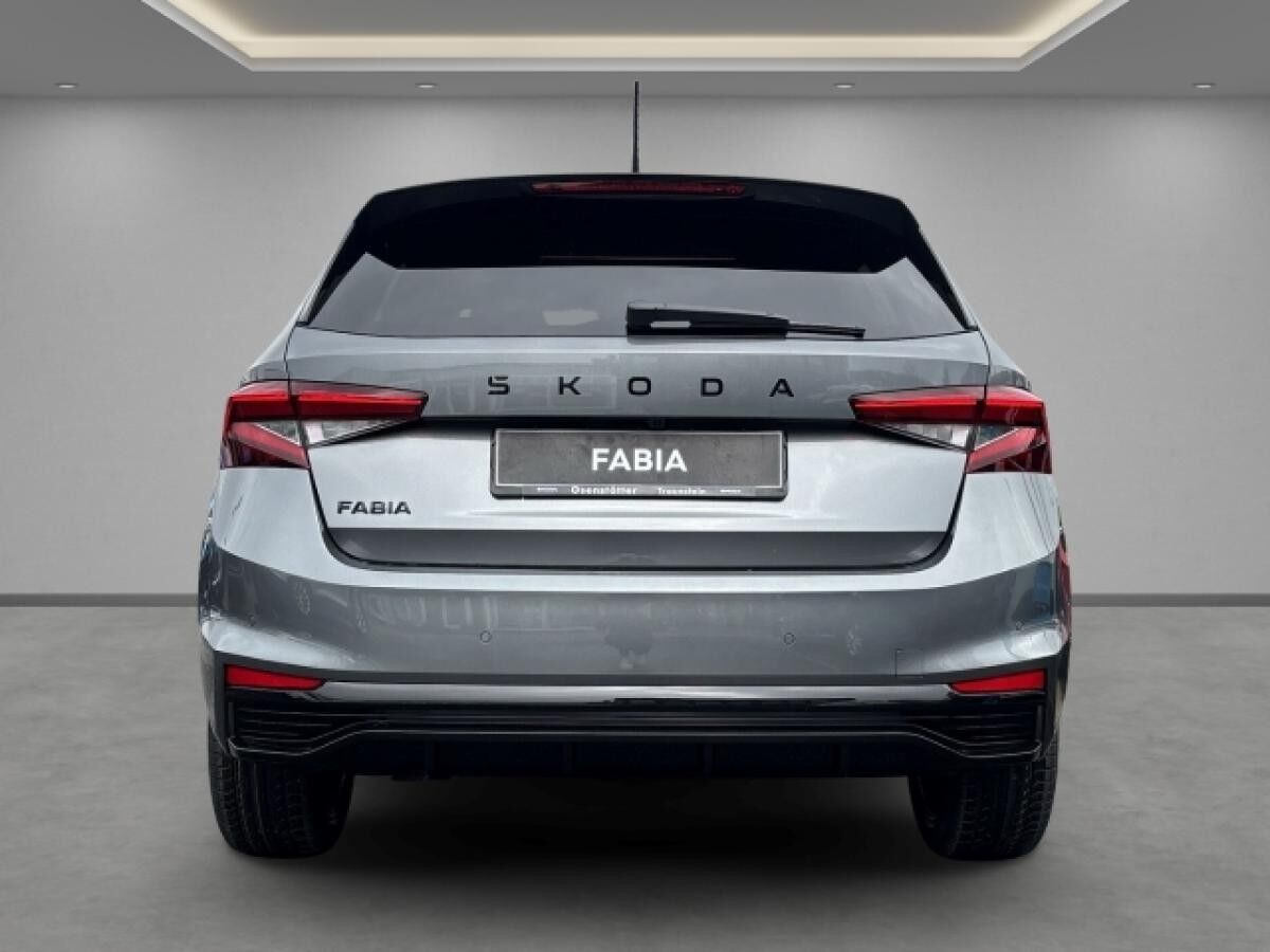 Skoda Fabia Monte Carlo 1.5 TSI, Frontkamera, Winter-Paket Plus