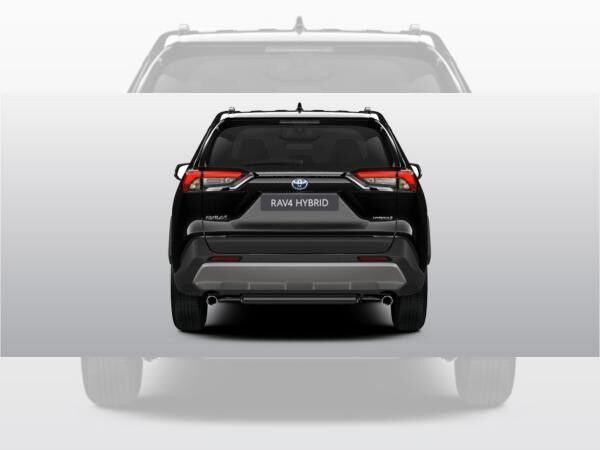 Toyota RAV 4 2.5 Hybrid 4x4 Team Deutschland +Technik P.