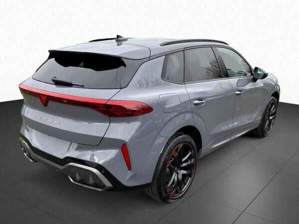 Cupra Terramar VZ 2.0 TSI DSG 4Drive Sennheiser AHK Schiebedach
