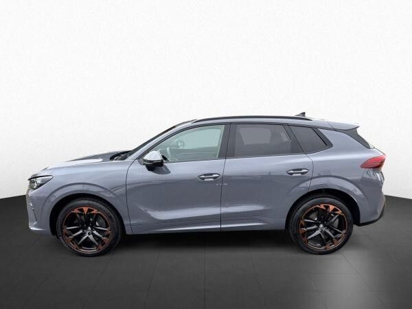 Cupra Terramar VZ 2.0 TSI DSG 4Drive Sennheiser AHK Schiebedach