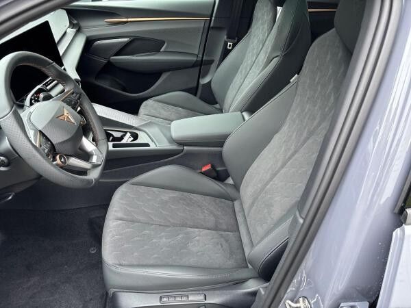 Cupra Terramar VZ 2.0 TSI DSG 4Drive Sennheiser AHK Schiebedach