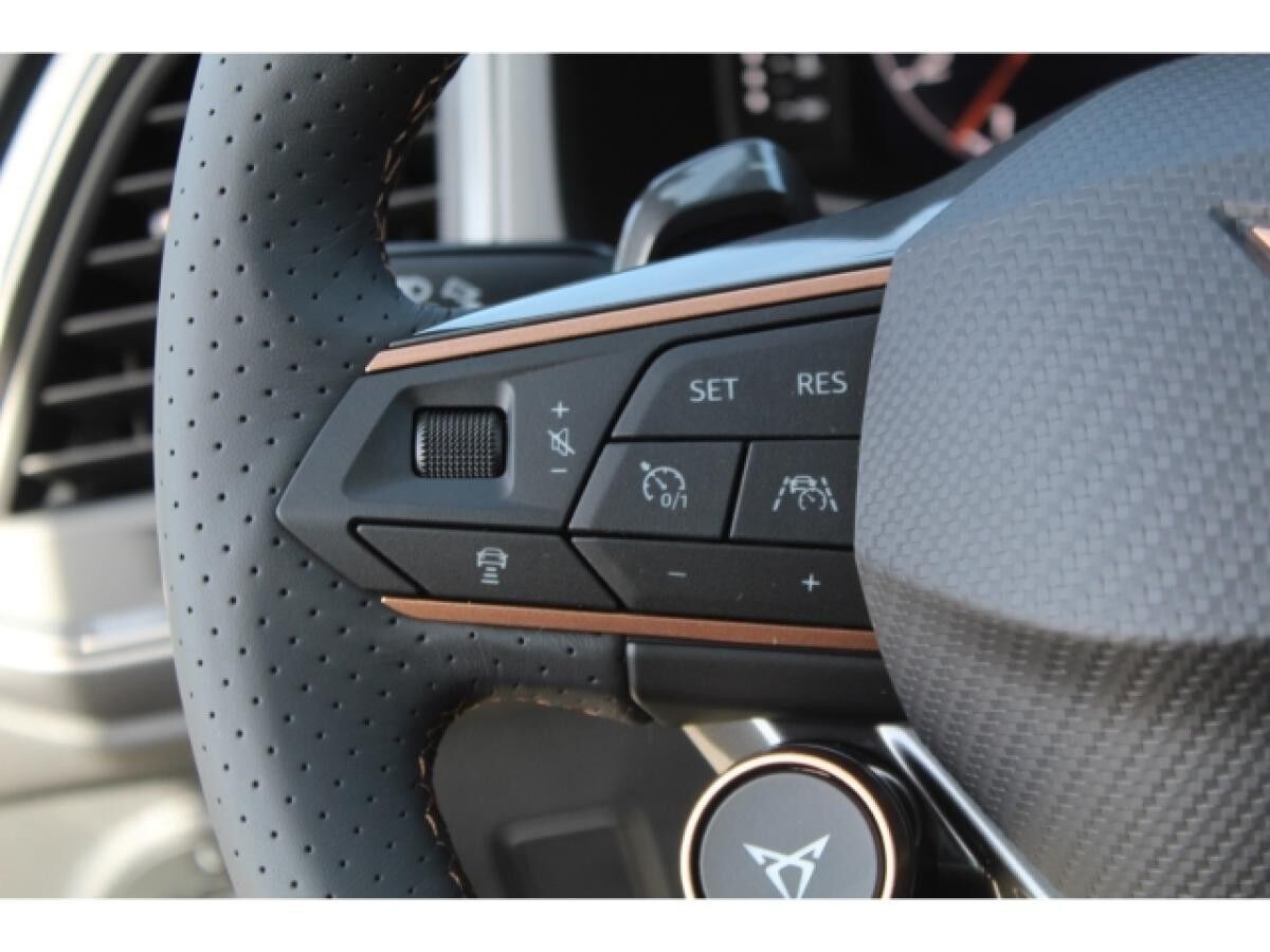 Cupra Ateca 2.0 TSI DSG 4Drive VZ NAVI LED AHK DCC ACC 19