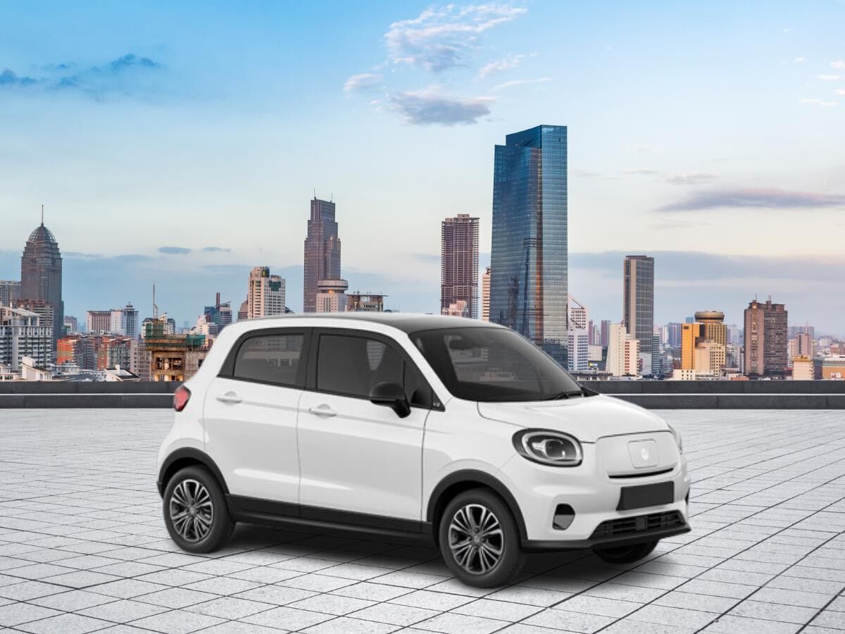 Leapmotor T03 Elektro ⚡Raum Stuttgart ⚡Panoramadach ⚡ Rückfahrkamera