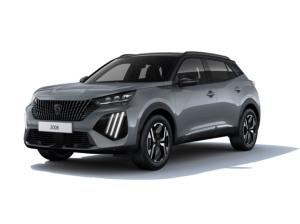 Peugeot 2008 Style Hybrid 110 e-DSC6