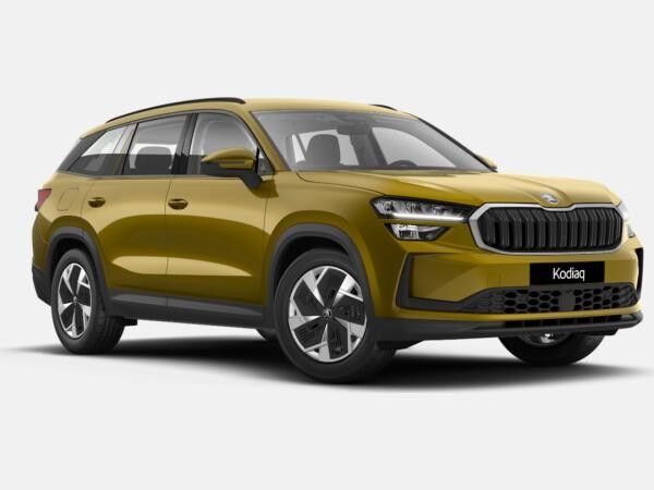 Skoda Kodiaq Selection 1,5 TSI mHEV 110 kW 7-Gang-DSG *130 Jahre Skoda*