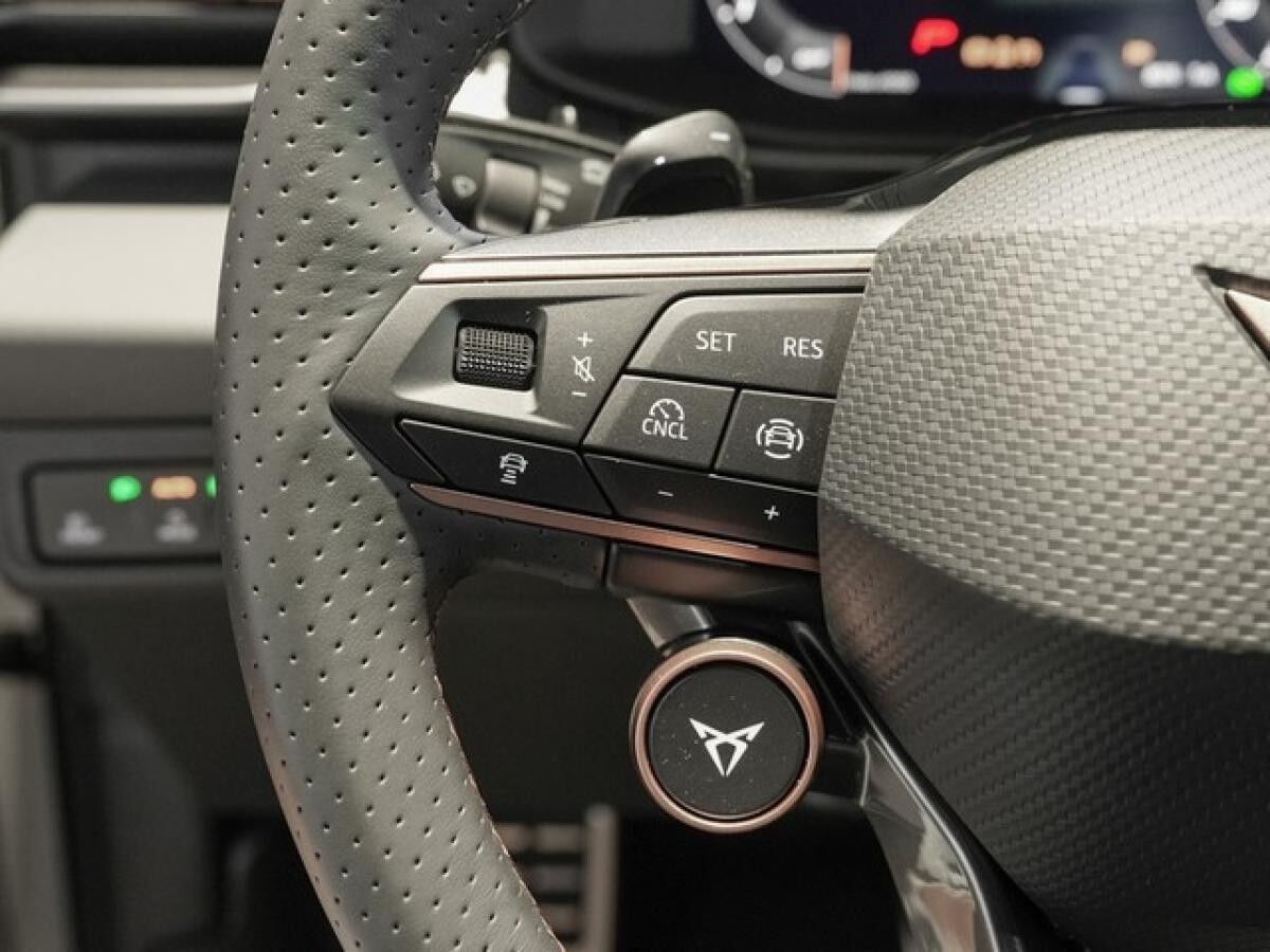 Cupra Terramar 2.0 TSI DSG 4Drive CTL