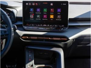 Cupra Terramar 2.0 TSI VZ 4Drive AHK/Pano