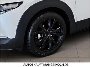 Mazda CX-30 GEWERBE MAZDA CX-30 2.5L 140 PS HOMURA //AUTOMATIK MODELL 2025