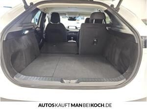 Mazda CX-30 GEWERBE MAZDA CX-30 2.5L 140 PS HOMURA //AUTOMATIK MODELL 2025