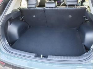 Kia Niro 1.6 Hybrid DCT Vision / Komf. + Style-Paket