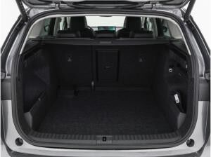 Skoda ENYAQ Enyaq 60 Loft AHK Memory Matrix LED elektr.Heckklappe