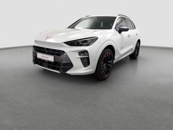Cupra Terramar 2.0 TSI 4Drive DSG Pano AKEBONO