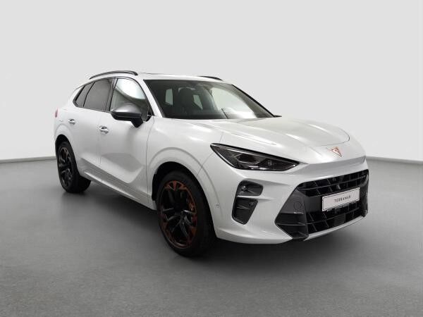 Cupra Terramar 2.0 TSI 4Drive DSG Pano AKEBONO