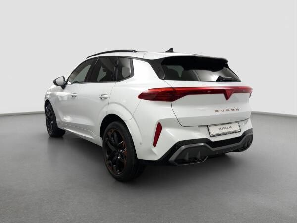 Cupra Terramar 2.0 TSI 4Drive DSG Pano AKEBONO