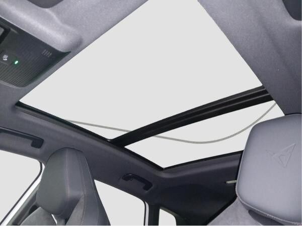 Cupra Terramar 2.0 TSI 4Drive DSG Pano AKEBONO