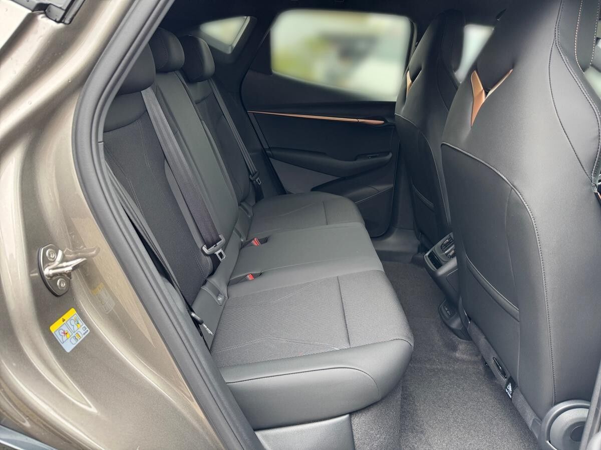 Cupra Tavascan 4Drive VZ Dual Engine LED KLIMA NAVI PDC KEYLESS GO