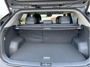 Kia EV3 81,4 Earth P3-P7 360°LED ACC Navi Leder El. Heckklappe Apple CarPlay