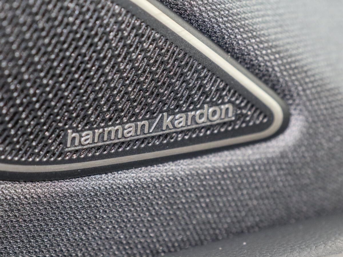 Volkswagen Tiguan R-Line 2.0 TDI DSG AHK Kamera HarmanK. HD-Matrix BlackStyle