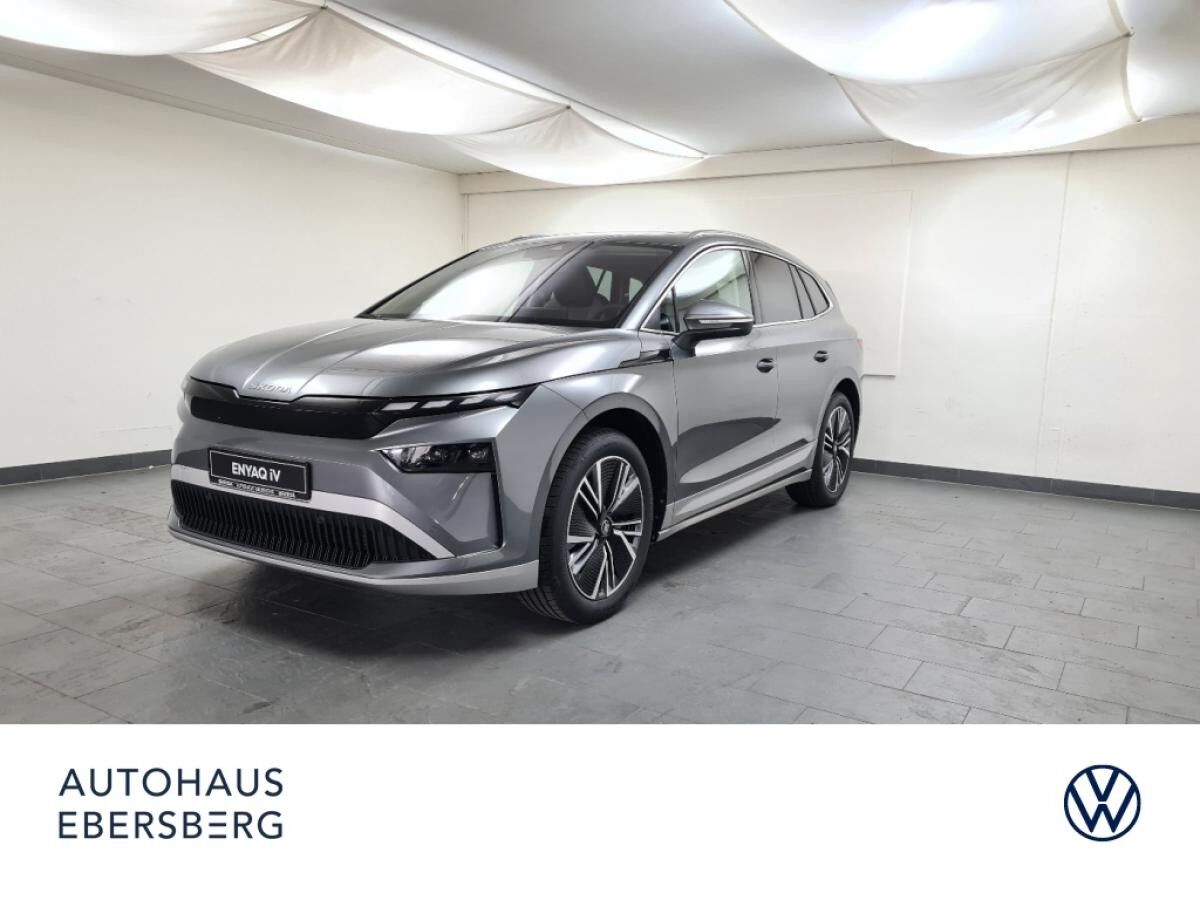 Skoda ENYAQ Enyaq 60 AHK Pano Matrix W-Pumpe 20