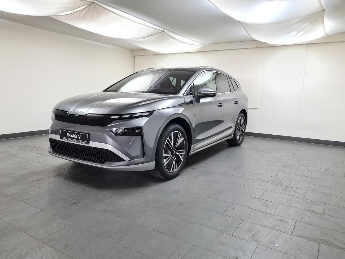 Skoda ENYAQ Enyaq 60 AHK Pano Matrix W-Pumpe 20