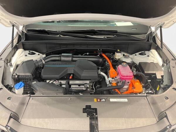 Kia Sorento 1.6 T-GDI Hybrid Platinum +MY25+7-Sitzer+