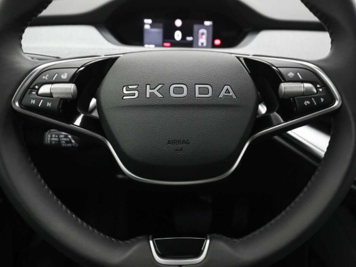 Skoda ENYAQ 60 Loft AHK Memory Matrix LED elektr.Heckklappe