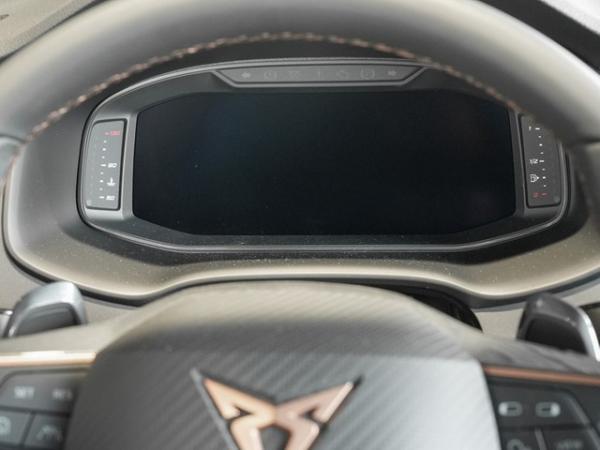 Cupra Ateca 1.5 TSI DSG Business, AHK