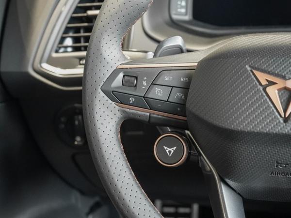 Cupra Ateca 1.5 TSI DSG Business, AHK