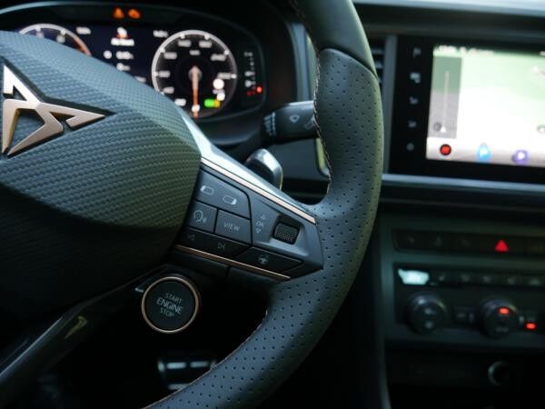 Cupra Ateca VZ Tribe Edition 2.0 TSI - PANO AHK LED 360° *SN313*