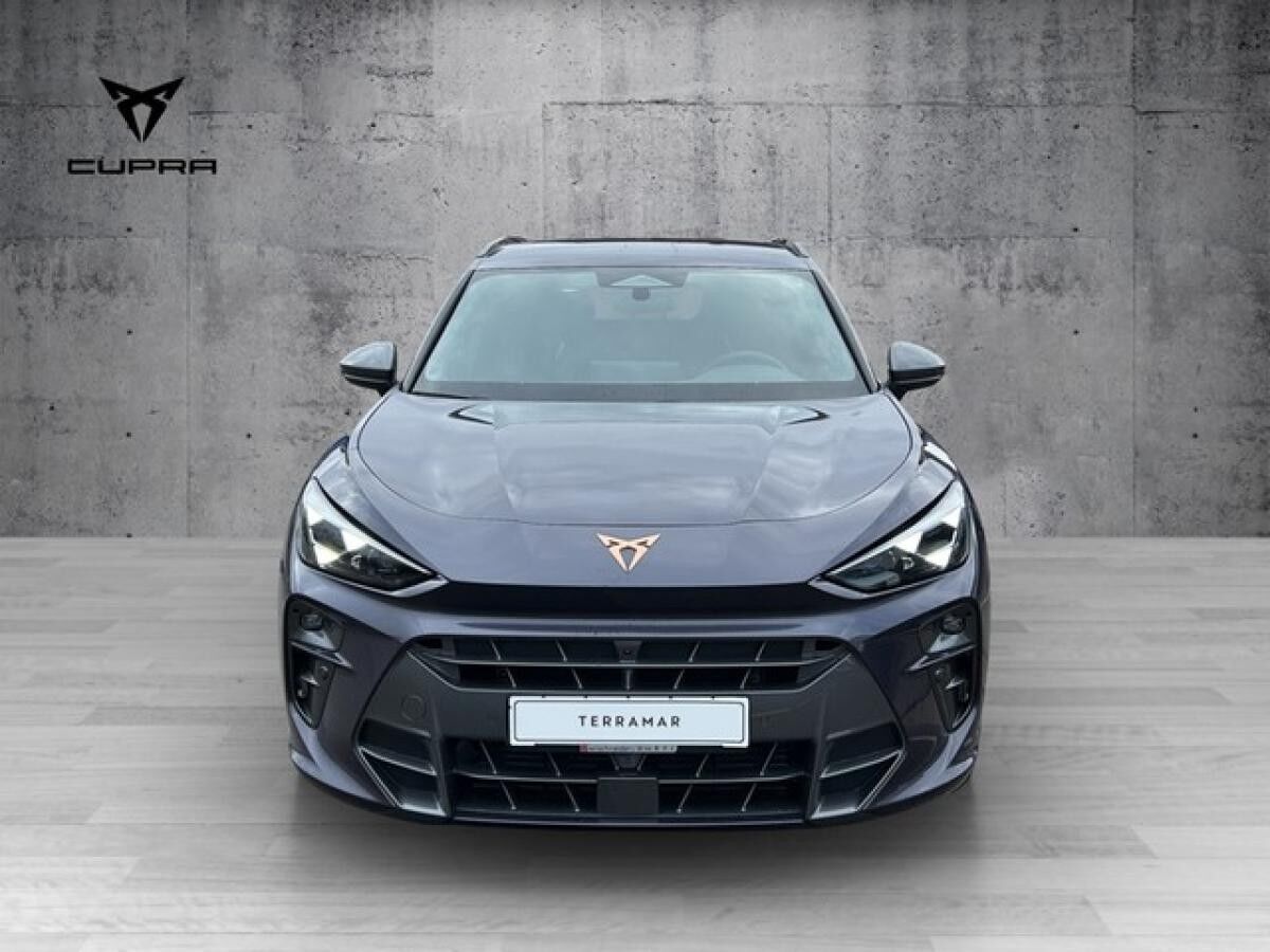 Cupra Terramar 2.0 TSI 4Drive DSG 19 AHK | HD-MATRIX | TOP VIEW | SENNHEISER