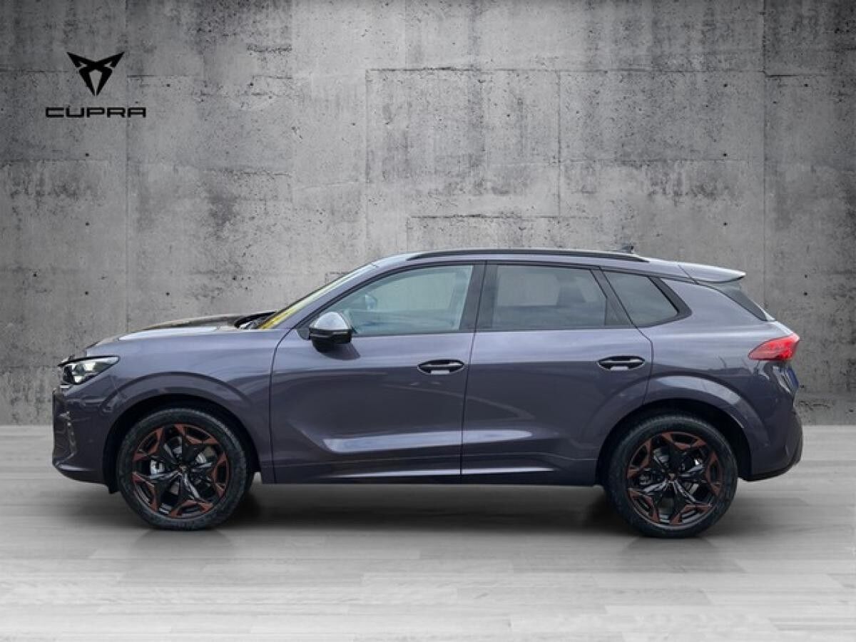 Cupra Terramar 2.0 TSI 4Drive DSG 19 AHK | HD-MATRIX | TOP VIEW | SENNHEISER