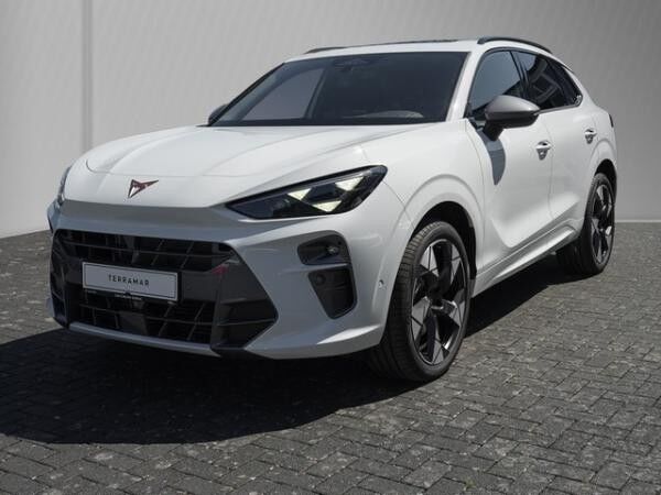Cupra Terramar 2.0 TSI / 7-Gang-DSG 4Drive CTL