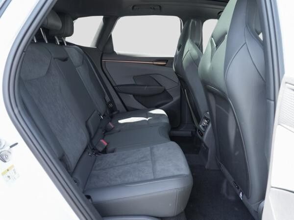 Cupra Terramar 2.0 TSI / 7-Gang-DSG 4Drive CTL