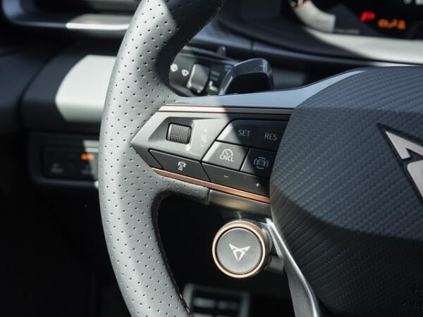 Cupra Terramar 2.0 TSI / 7-Gang-DSG 4Drive CTL