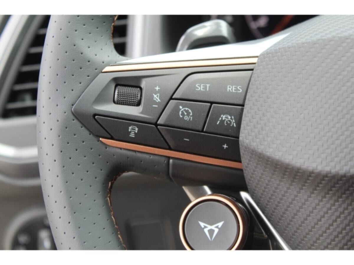 Cupra Ateca 2.0 TSI DSG 4Drive VZ NAVI AHK 360 KAMERA SHZ GRA 19