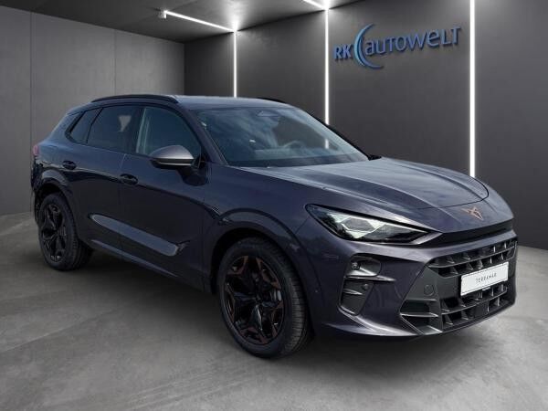 Cupra Terramar 2.0 TSI DSG 4Drive Matrix Sennheiser AHK
