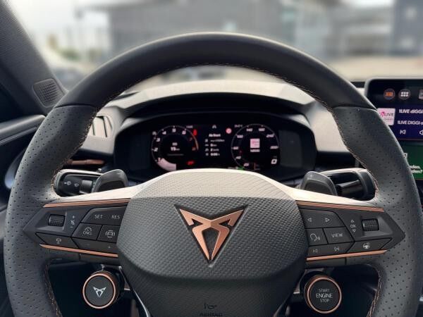 Cupra Terramar 2.0 TSI DSG 4Drive Matrix Sennheiser AHK